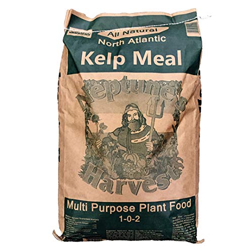 Neptune's Harvest Kelp Meal Multi-Purpose Plant Food 1-0-2, 50 lb